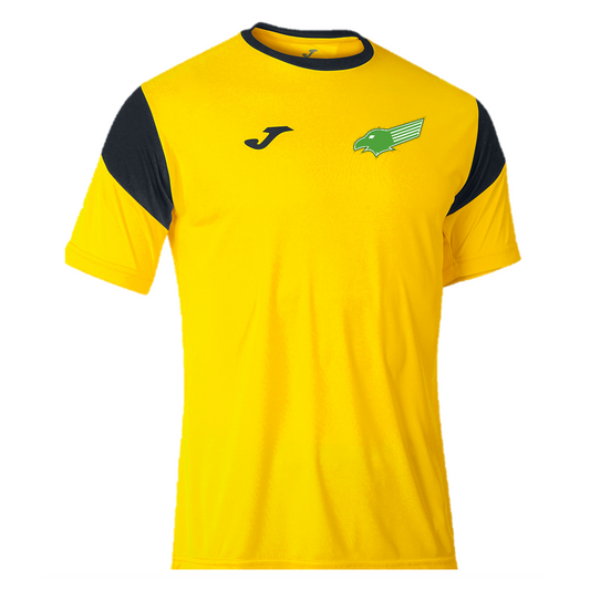 Kewford Eagles Away/Training Shirt & Shorts Set