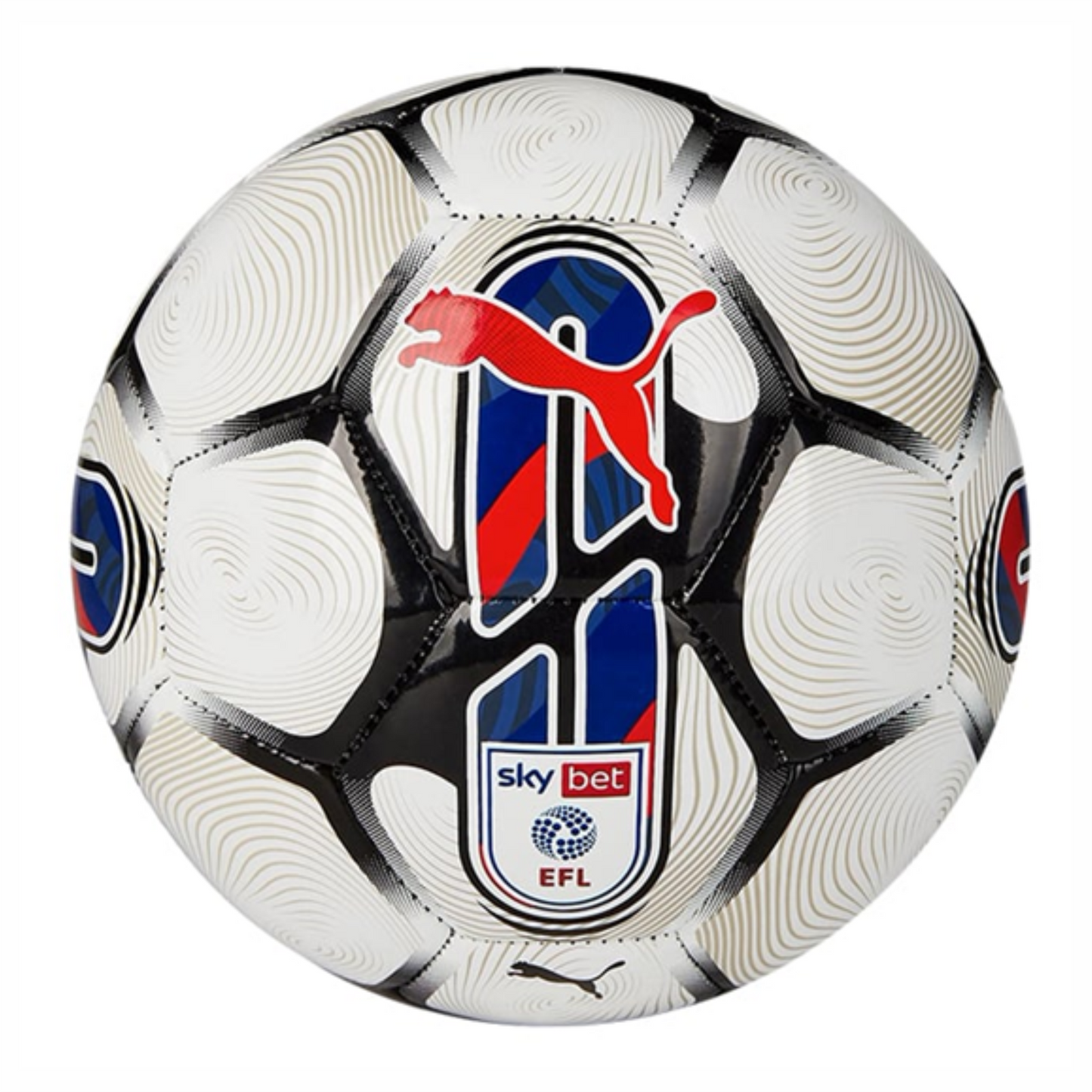 Puma Orbita 6 EFL Sky Bet Football