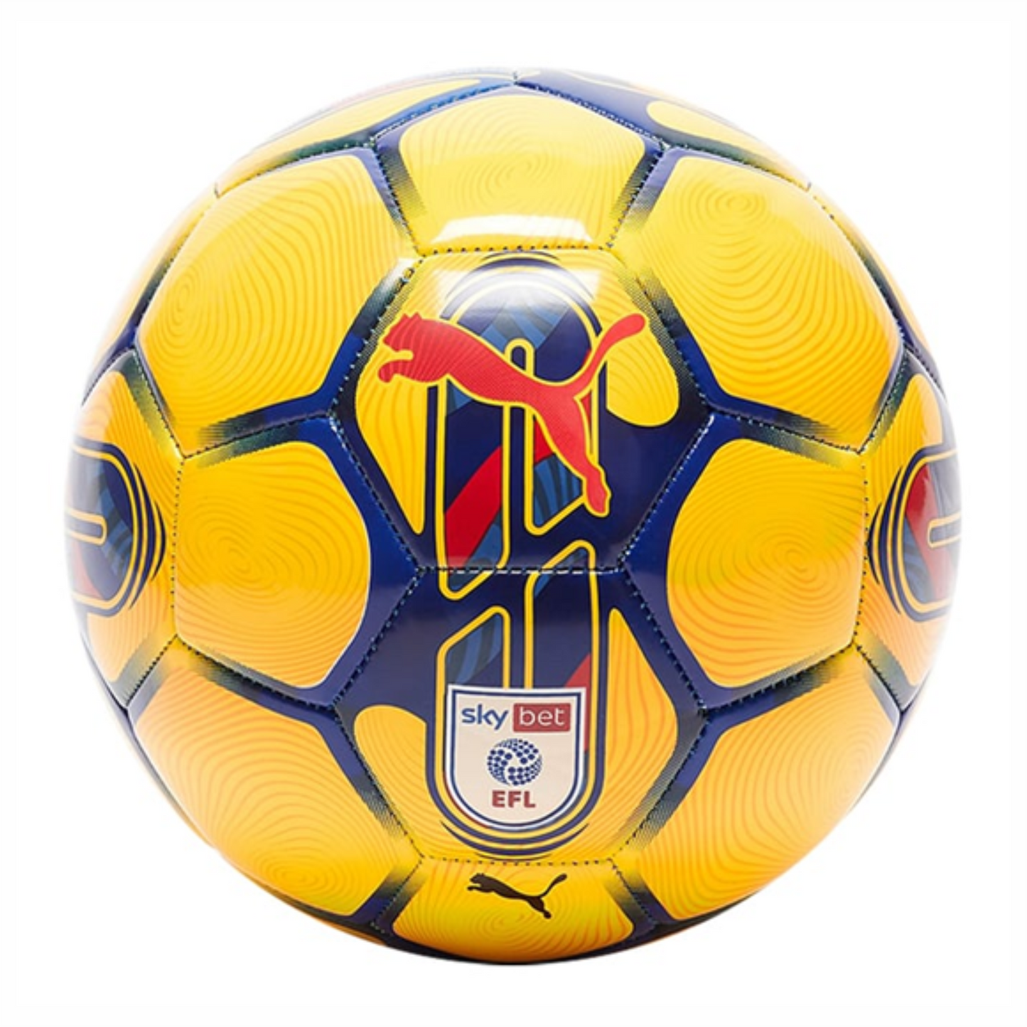 Puma Orbita 6 EFL Sky Bet Football