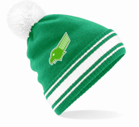 Philadelphia eagles hot sale bobble hat