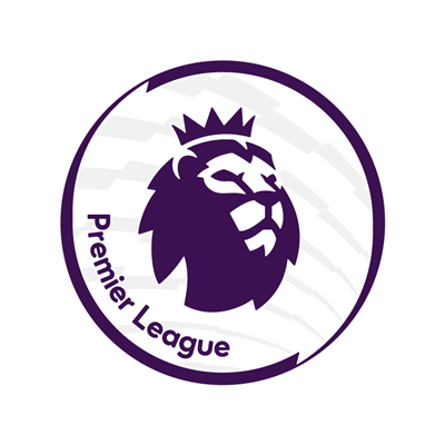Official Premier League Sleeve Print